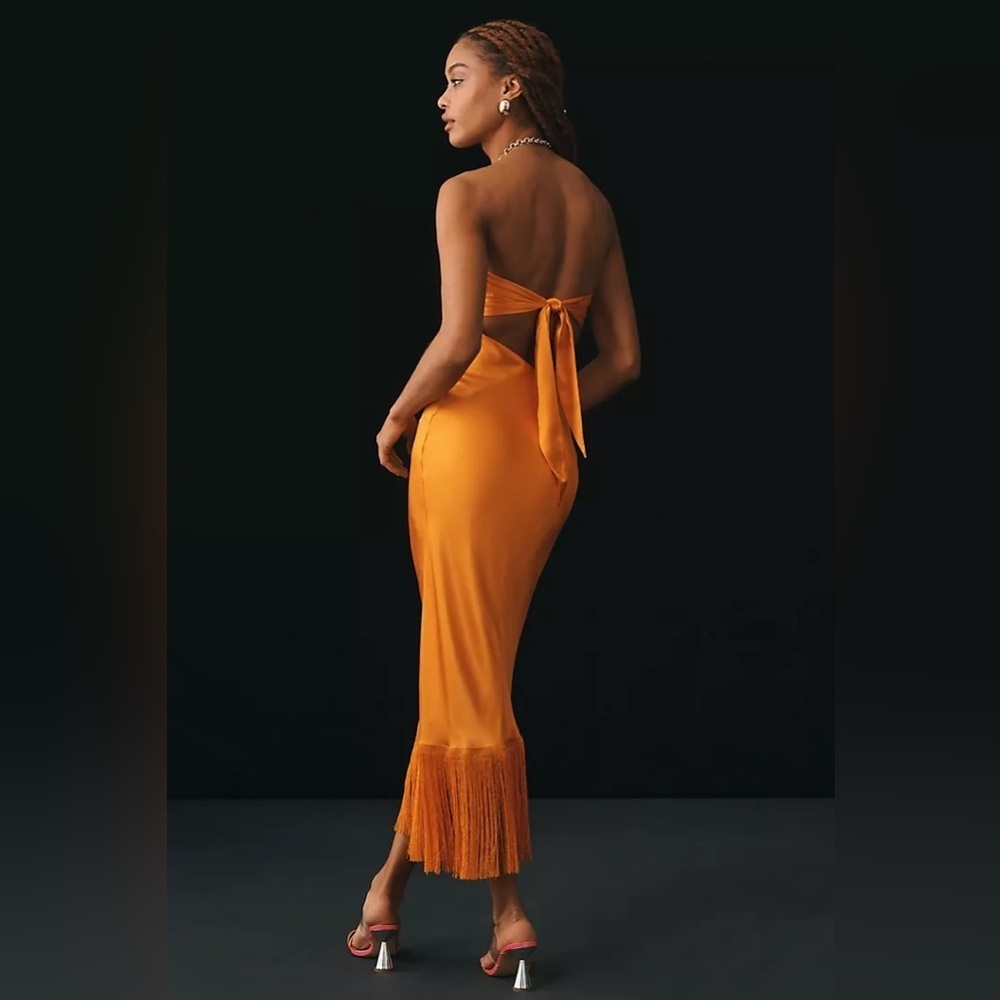 NWT Delfi Collective Strapless Silk Fringe Dress - Picture 2 of 3